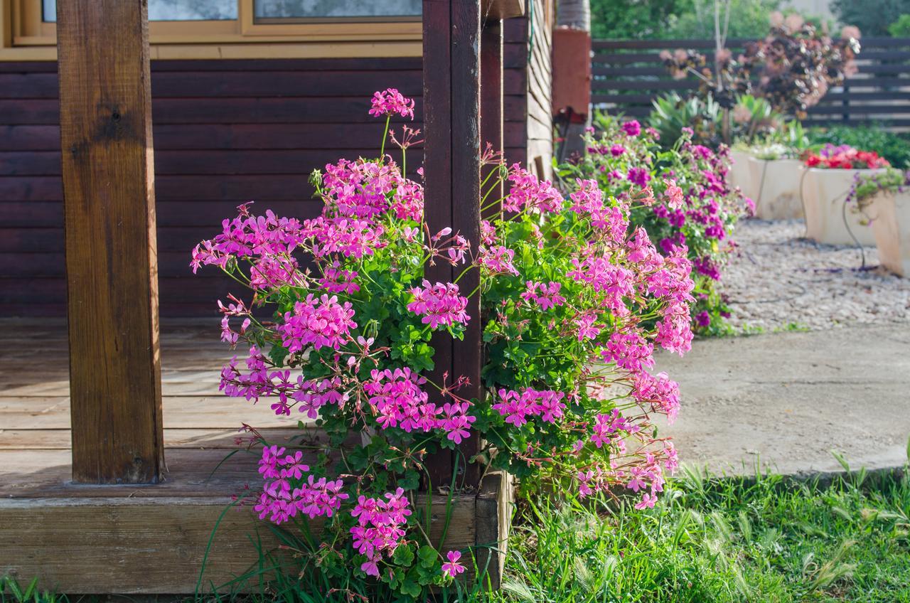 Tal Nof Cabins Villa Manot Dış mekan fotoğraf