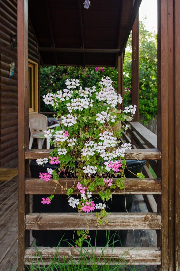 Tal Nof Cabins Villa Manot Dış mekan fotoğraf